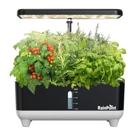 RainPoint Hydroponic Growing Kit